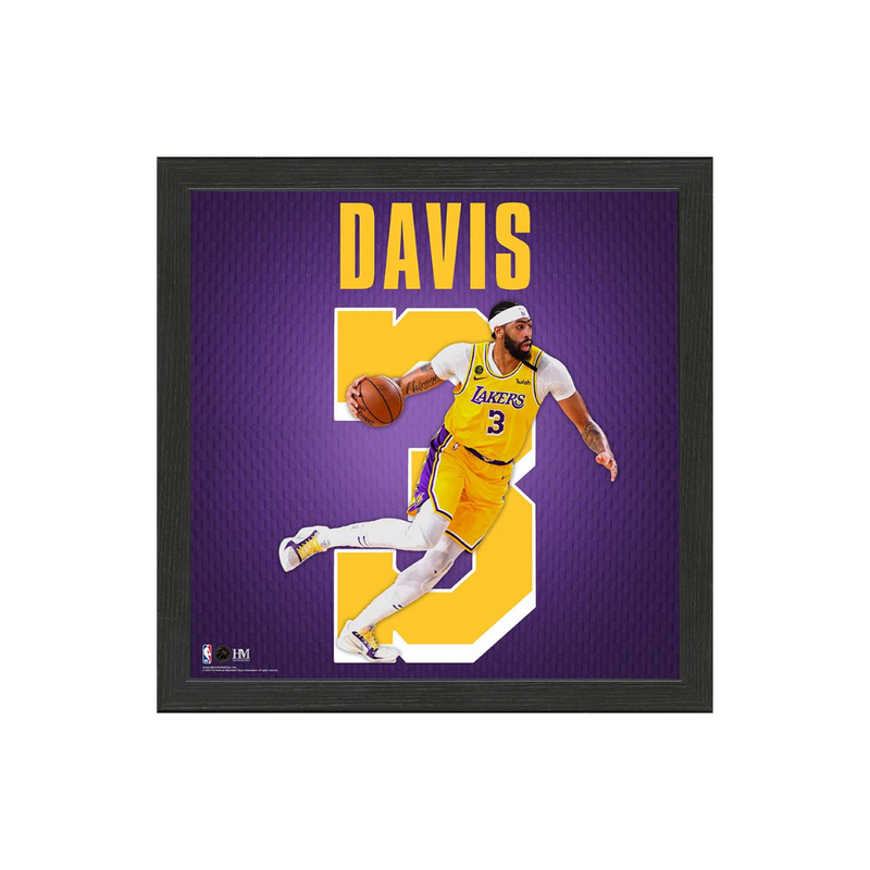 Anthony Davis Los Angeles Lakers IMPACT Jersey Frame Shop LA Times
