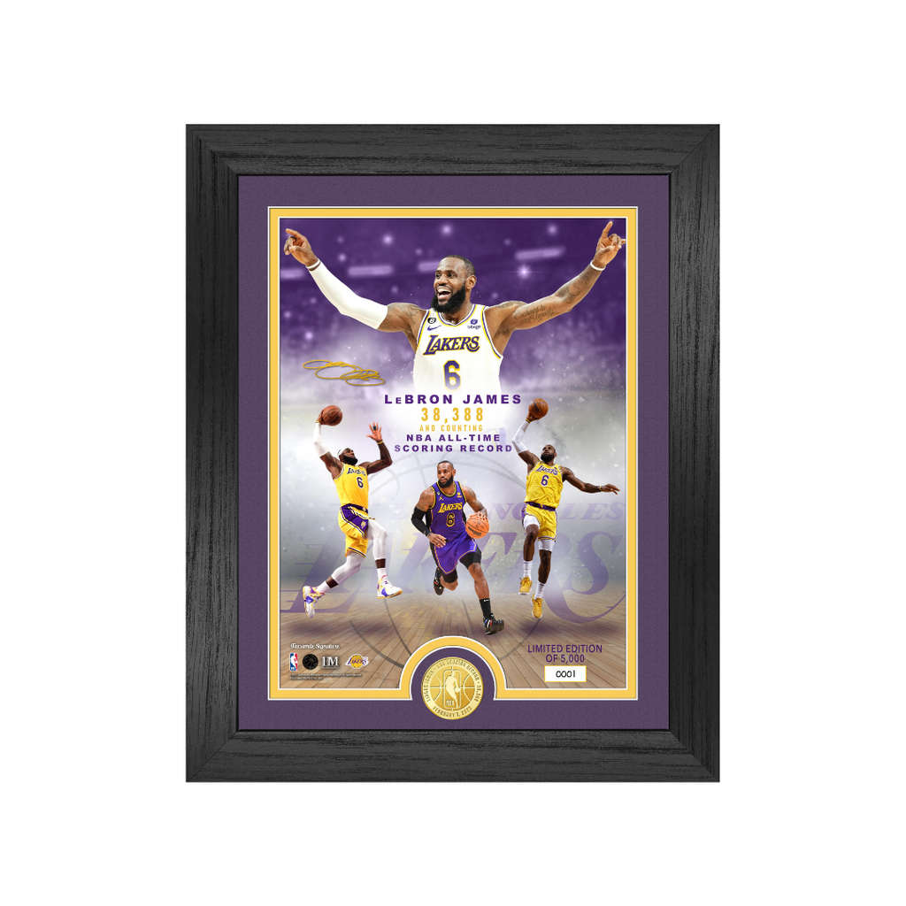 The Highland Mint Los Angeles Lakers LeBron James Impact Jersey Frame