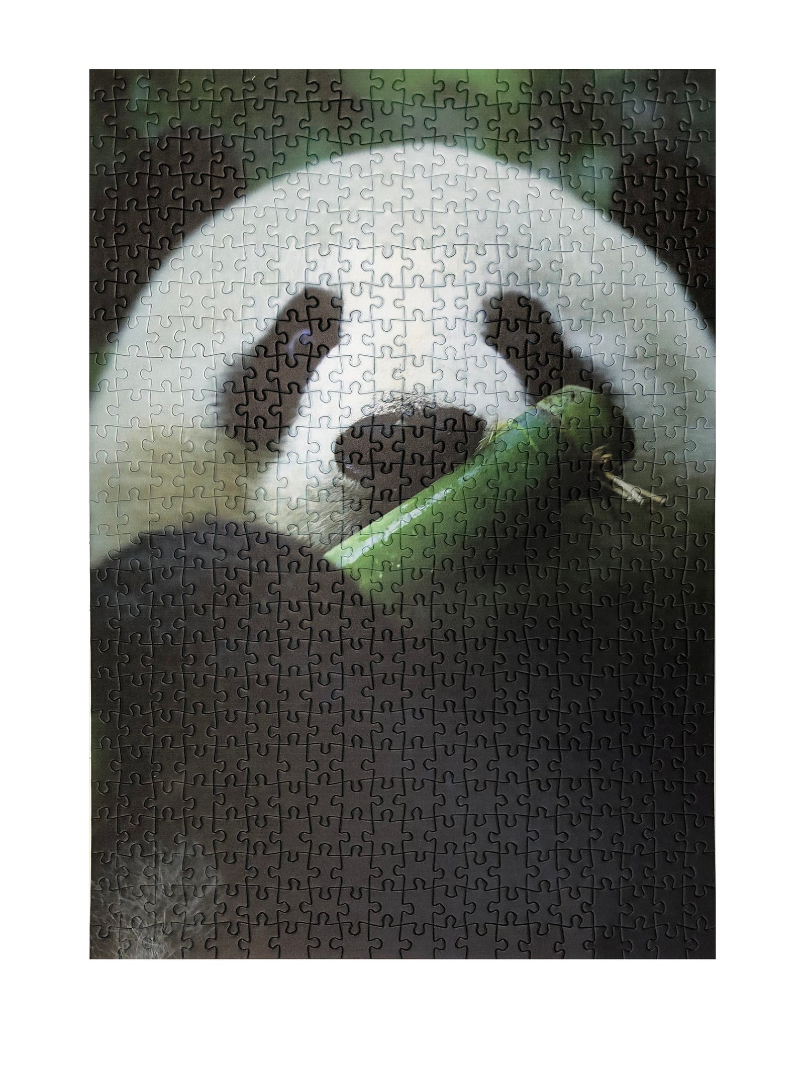 PANDAページ 4a_1600x.jpg?v=1598562968