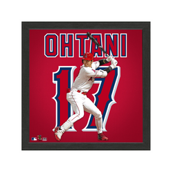 Official Shohei Ohtani Jersey, Shohei Ohtani Shirt, Baseball Apparel,  Shohei Ohtani Gear