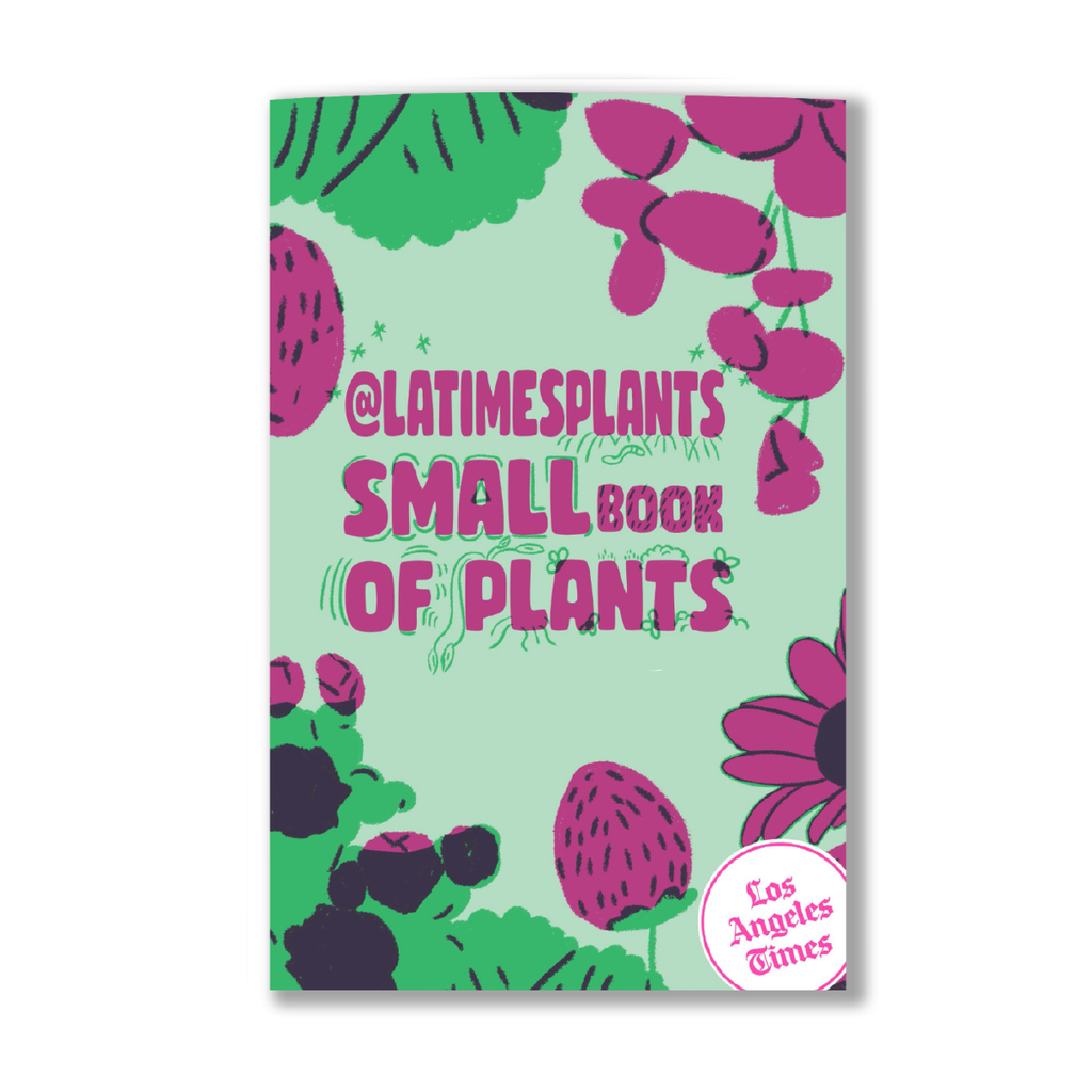 Little Book of Plants Zine – Shop LA Times